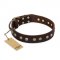 "Bronze Sheen" FDT Artisan Leather Swiss Mountain Dog Collar with Brass-Plated Studs