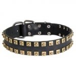 2 Rows Brass Studded Leather Swiss Mountain Dog Collar for Walking and Training