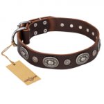 "Extra Pizzazz" FDT Artisan Adorned Brown Leather Swiss Mountain Dog Collar