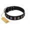 "Silver Spikes" Exclusive FDT Artisan Black Leather Swiss Mountain Dog Collar