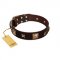 "Choco Dreams" FDT Artisan Brown Leather Swiss Mountain Dog Collar with Squares and Stars