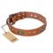 "Stunning Dress" FDT Artisan Tan Leather Swiss Mountain Dog Collar with Old Bronze Look Plates and Studs