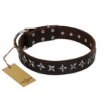 "Stars of Glory" FDT Artisan Brown Leather Swiss Mountain Dog Collar for Comfortable Walking