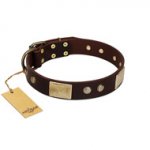 "Middle Age" FDT Artisan Brown Leather Swiss Mountain Dog Collar with Old Bronze-Plated Engraved Flowers and Large Plates