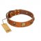 "Knights Templar" FDT Artisan Tan Leather Swiss Mountain Dog Collar with Skulls and Crossbones Combined with Squares