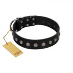 "Silver Flower" Exclusive FDT Artisan Black Leather Swiss Mountain Dog Collar with Silver-Like Studs
