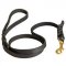 Handcrafted Braided Leather Swiss Mountain Dog Leash for Walking and Training