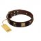 "Crazy Pirate" FDT Artisan Brown Leather Swiss Mountain Dog Collar with Old Bronze-Plated Skulls and Plates