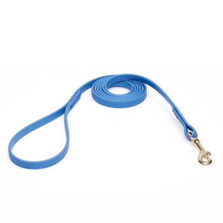 Amazing Blue Biothane Swiss Mountain Dog Leash for Walking, Tracking