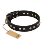 "Black Elegance" FDT Artisan Leather Swiss Mountain Dog Collar with Round Studs
