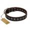 "Stars of Glory" FDT Artisan Brown Leather Swiss Mountain Dog Collar for Comfortable Walking