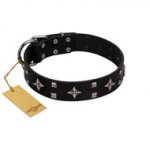 "Snappy Dresser" FDT Artisan Black Leather Swiss Mountain Dog Collar Adorned with Stars and Tiny Squares