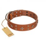 "Dreamy Gleam" FDT Artisan Tan Leather Swiss Mountain Dog Collar Adorned with Stars and Squares