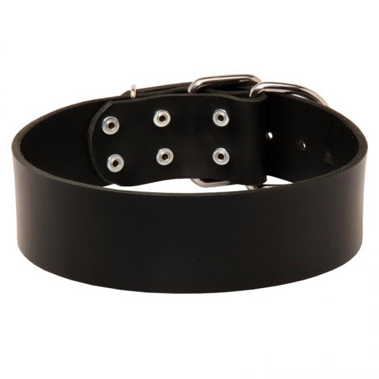 swiss leather dog collar