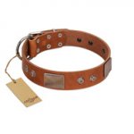 "Great Obelisk" Handcrafted FDT Artisan Tan Leather Swiss Mountain Dog Collar with Large Plates and Pyramids