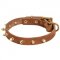 Walking Designer Leather Swiss Mountain Dog Collar with Brass Spikes