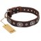 "Extra Pizzazz" FDT Artisan Adorned Brown Leather Swiss Mountain Dog Collar