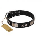 "Pitch Dark" FDT Artisan Black Leather Swiss Mountain Dog Collar with Stars and Plates