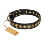 "Gold Mine" FDT Artisan Black Leather Swiss Mountain Dog Collar with Amazing Bronze-Plated Round Studs
