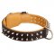 Spiked Swiss Mountain Dog Collar Padded with Nappa Leather