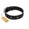 "Mr. Elegance" Designer FDT Artisan Black Leather Swiss Mountain Dog Collar with Silver-Like Studs