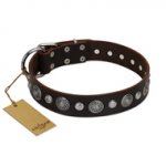 "Victory Ode" FDT Artisan Brown Leather Swiss Mountain Dog Collar with Silver-like Plated Decorations