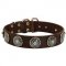 Leather Swiss Mountain Dog Collar with Blue Stones for Stylish Walking