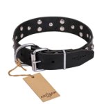 "Mystic Skulls" Decorated Leather Swiss Mountain Dog Collar with Skulls and Studs