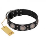 "Starry Sky" Trendy FDT Artisan Black Leather Swiss Mountain Dog Collar with Large Brooches