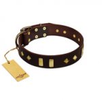 "Blinking Illusion" FDT Artisan Brown Leather Swiss Mountain Dog Collar with Old Bronze-like Studs and Plates