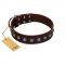 "Spring Flower" Stylish FDT Artisan Brown Leather Swiss Mountain Dog Collar for Comfy Walks