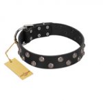 "Power-Flower" FDT Artisan Black Leather Swiss Mountain Dog Collar with Two Rows of Silver-like Studs with Engraved Flowers