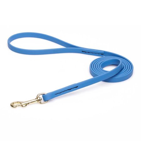 Amazing Blue Biothane Swiss Mountain Dog Leash for Walking, Tracking