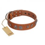 "Brave Spirit" Handmade FDT Artisan Designer Tan Leather Swiss Mountain Dog Collar with Shields