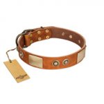 "Perfect Blend" FDT Artisan Tan Leather Swiss Mountain Dog Collar 1 1/2 inch (40 mm) wide