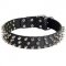 Leather Swiss Mountain Dog Collar with 3 Rows of Nickel Spikes