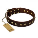 "Fashion Studs" FDT Artisan Decorated Leather Swiss Mountain Dog Collar with Old Bronze-Plated Steel Hardware