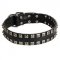 New Leather Swiss Mountain Dog Collar - Fashion Exclusive Design - "Caterpillar"