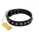 "Inky Prettification" FDT Artisan Black Leather Swiss Mountain Dog Collar with One Row of Studs