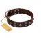 "Skull Valley" Handcrafted FDT Artisan Brown Leather Swiss Mountain Dog Collar with Skulls