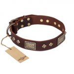 "Loving Owner" FDT Artisan Decorated Leather Swiss Mountain Dog Collar with Plates and Studs