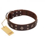 "Stars in Sands" Modern FDT Artisan Brown Leather Swiss Mountain Dog Collar with Studs and Stars
