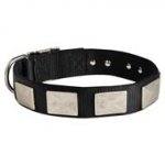 Nylon Swiss Mountain Dog Collar Massive Nickel Plates