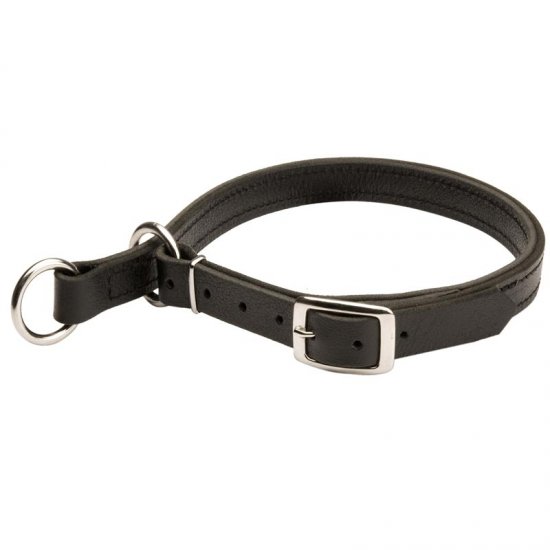 leather choker collar dog