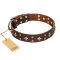 "High Fashion" FDT Artisan Embellished Brown Leather Swiss Mountain Dog Collar