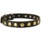 Leather Swiss Mountain Dog Collar with Brass Circles for Fashionable Walking