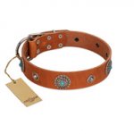 "Marine Antiques" Handmade FDT Artisan Tan Leather Swiss Mountain Dog Collar with Blue Stones