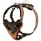 Handpainted in Flames Leather Swiss Mountain Dog Harness for Agitation Training