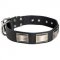 Leather Swiss Mountain Dog Collar Massive Nickel Plates
