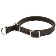 Swiss Mountain Dog Leather Choke Collar